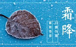 霜降海报文案合集,超级冷!!