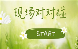 相亲活动制胜秘籍:对对碰——缘分是碰出来的!