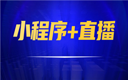 小程序+直播=新风口?这三个方面要重点了解!