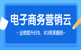 电子商务数字化转型:掌握未来商业发展的关键