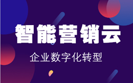 零售营销云:零售业市场扩张利器,用好数字化洞察新机遇!