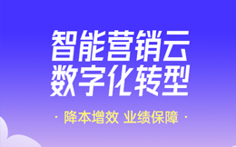 电商数字化转型:创新开辟新途径,数字化赋能电商企业翻开崭新篇章!