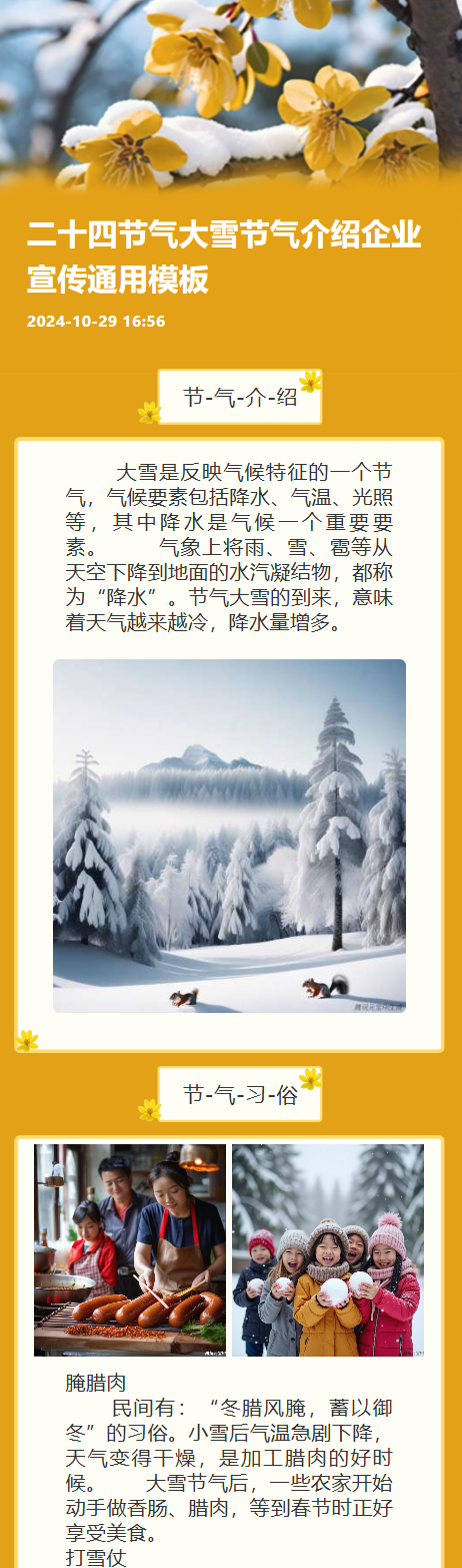 二十四节气大雪节气介绍企业宣传通用模板